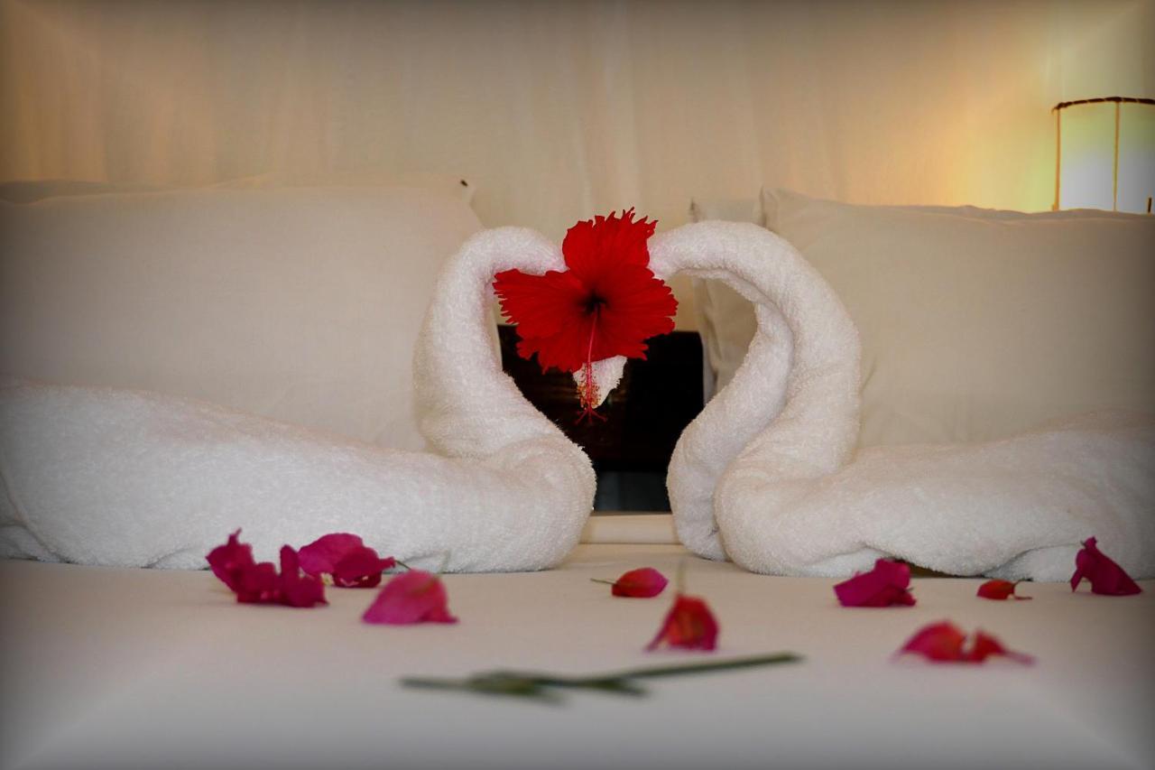 Nyumba Ya Paka Boutique Hotel Malindi Bagian luar foto